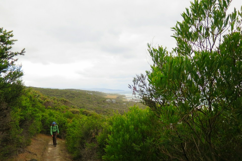 2016-02-16 19.58.53.jpg image