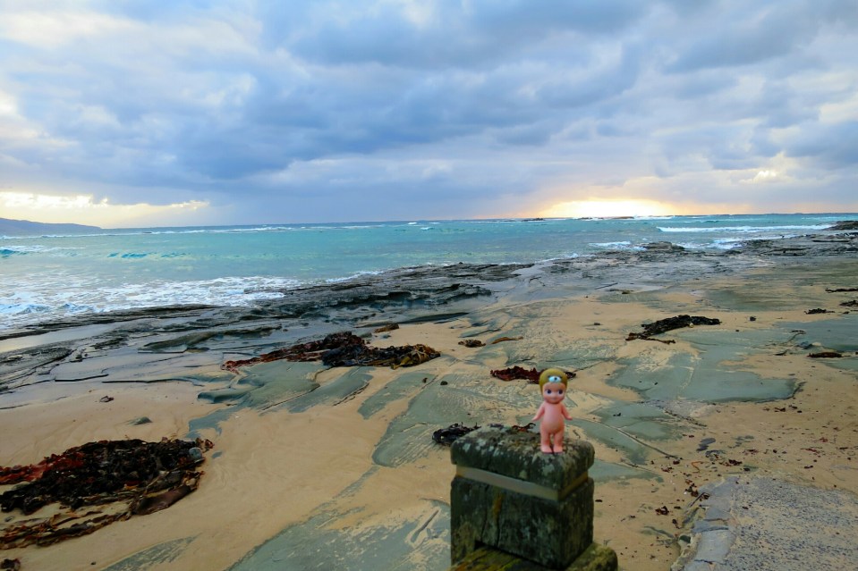 2016-02-16 20.05.14.jpg image