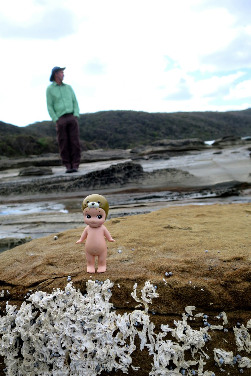 2016-02-17 16.46.13.jpg image