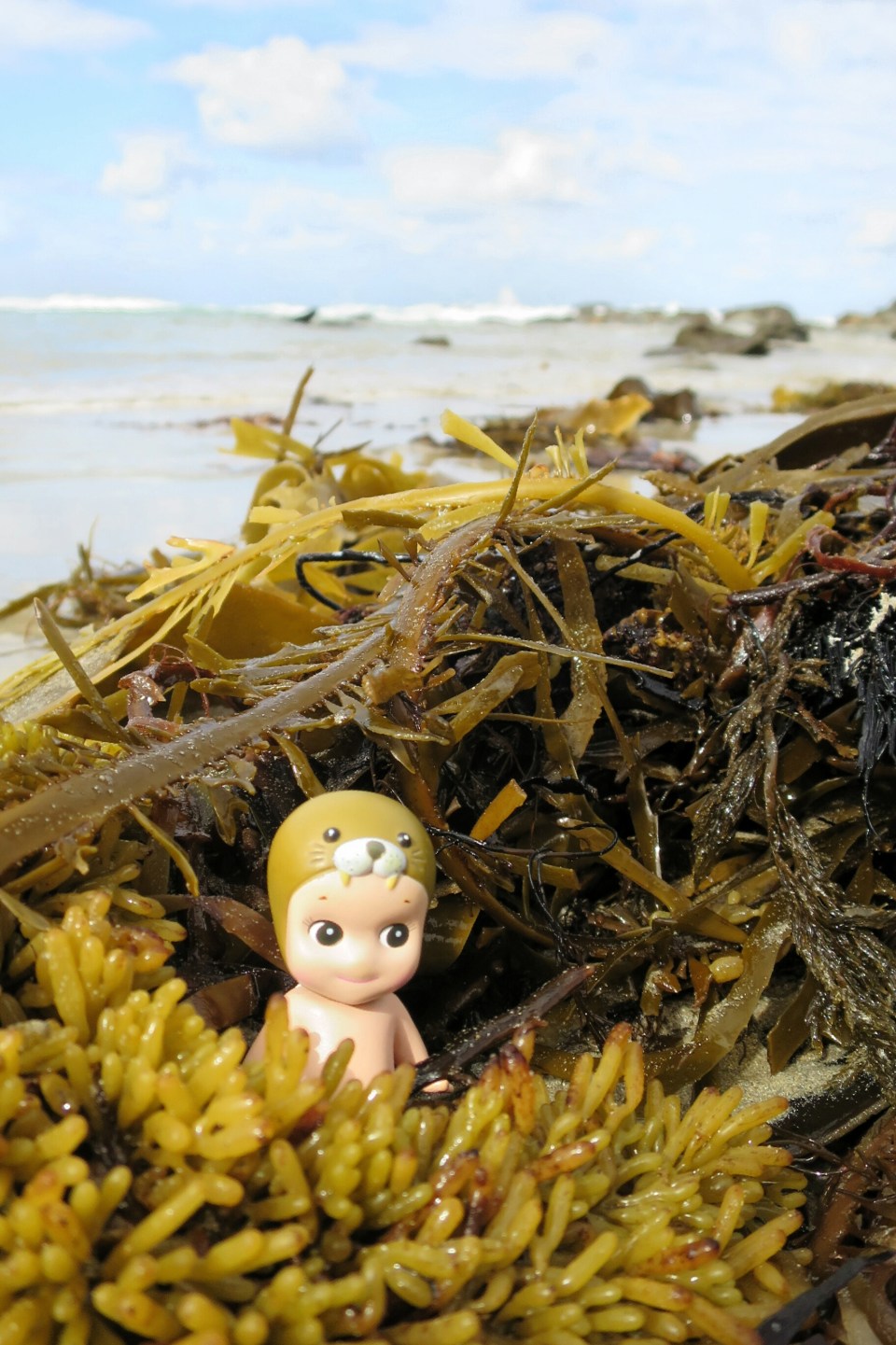 2016-02-17 16.47.05.jpg image