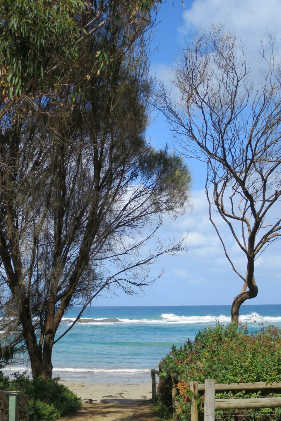 2016-02-17 16.47.43.jpg image