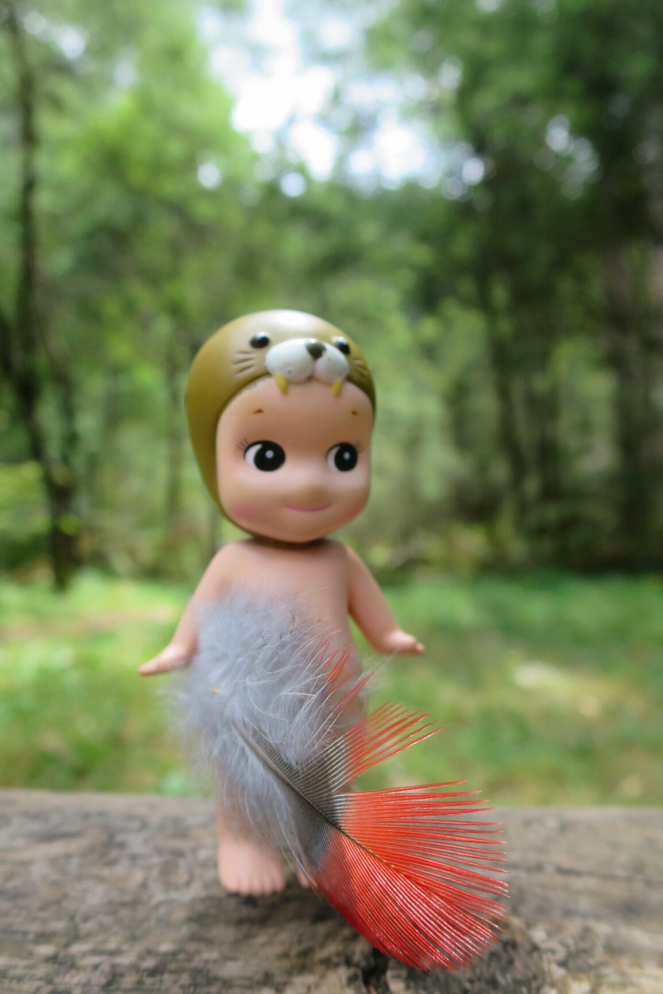 2016-02-29 13.57.34.jpg image