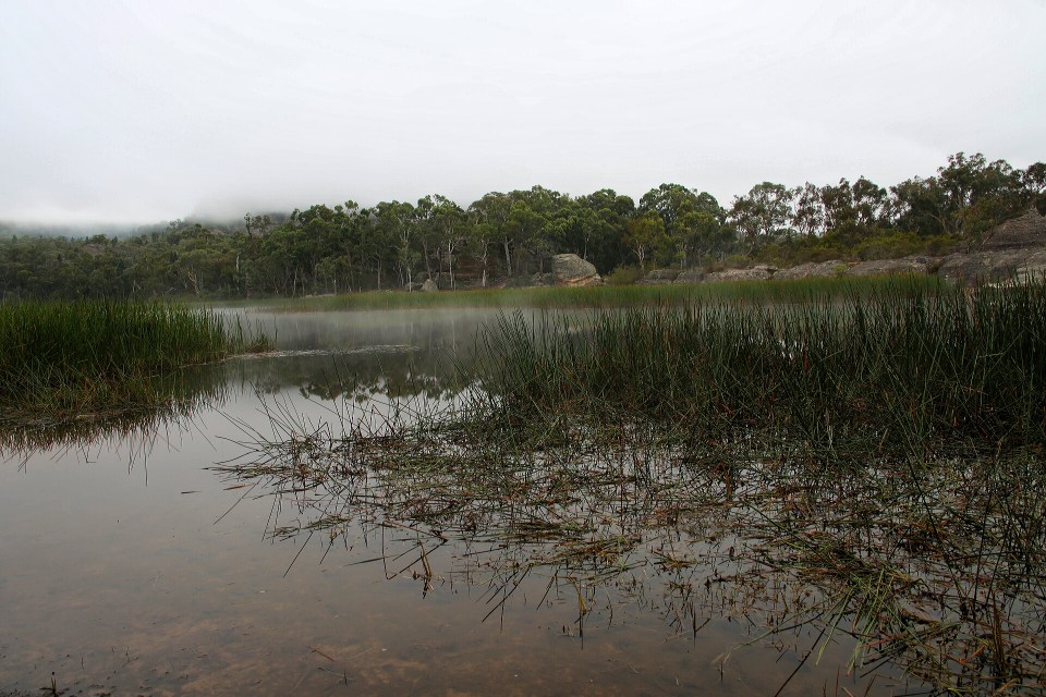 2016-03-05 13.45.47.jpg image