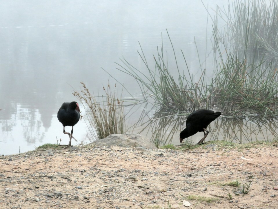 2016-03-05 13.49.38.jpg image