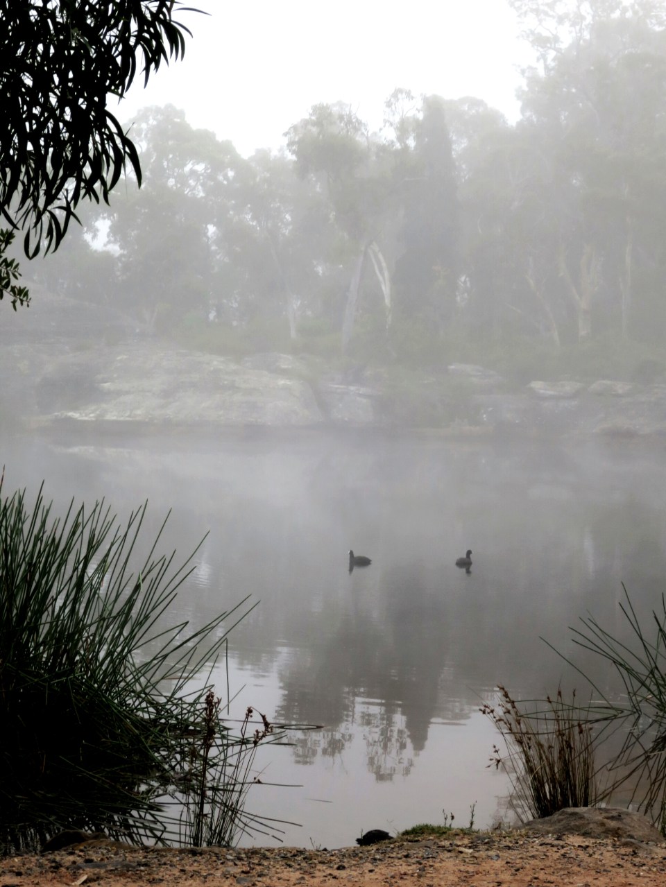 2016-03-05 13.50.25.jpg image