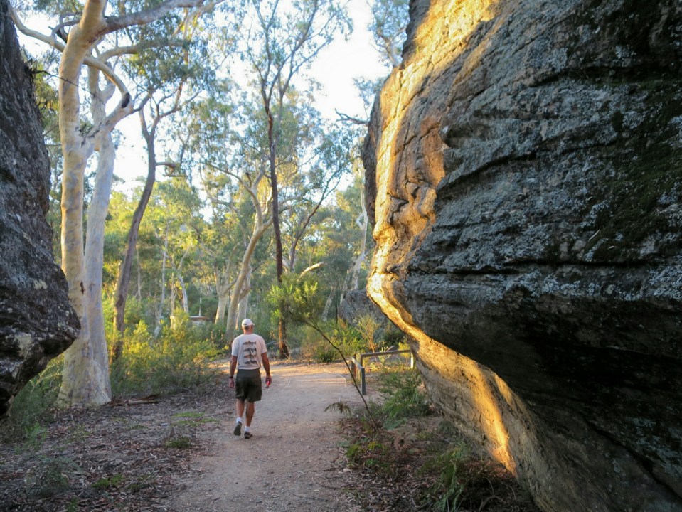 2016-03-05 13.51.34.jpg image