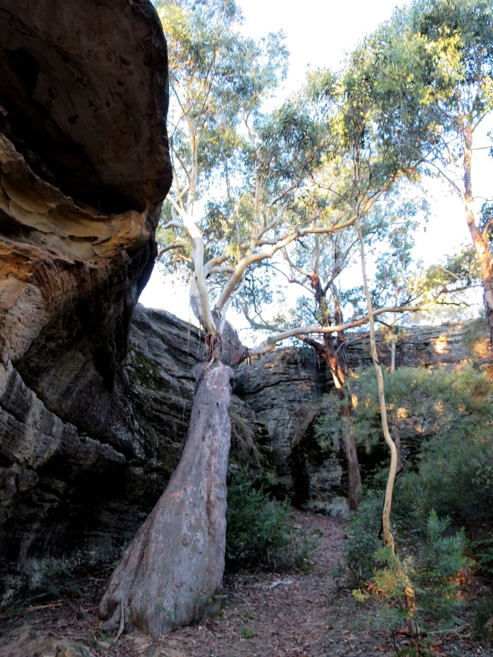 2016-03-05 13.53.16.jpg image