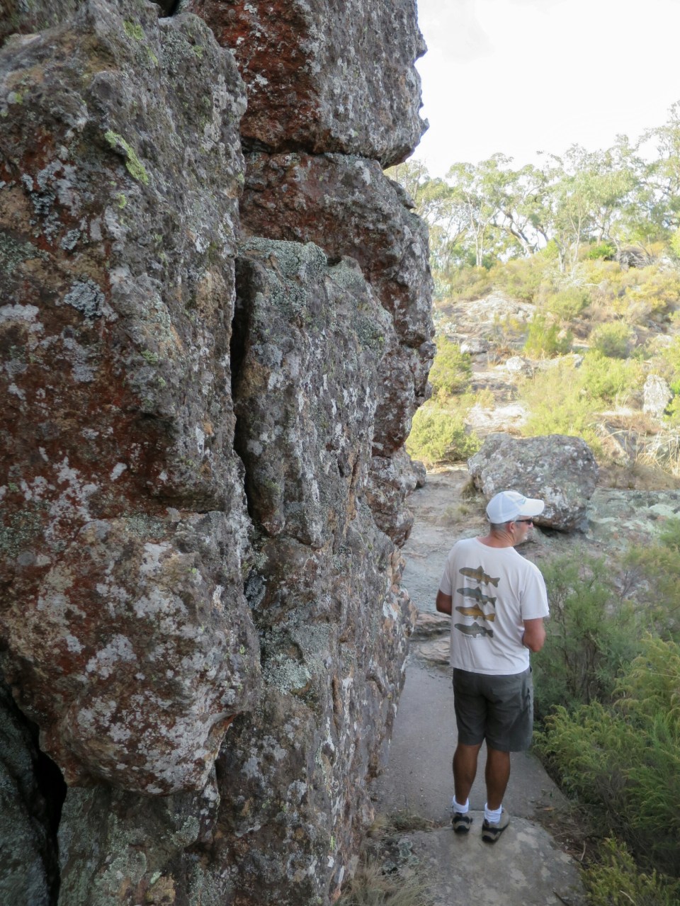 2016-03-05 16.25.58.jpg image