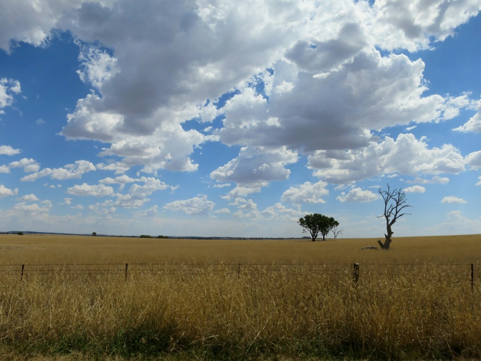 2016-03-05 16.32.36.jpg image