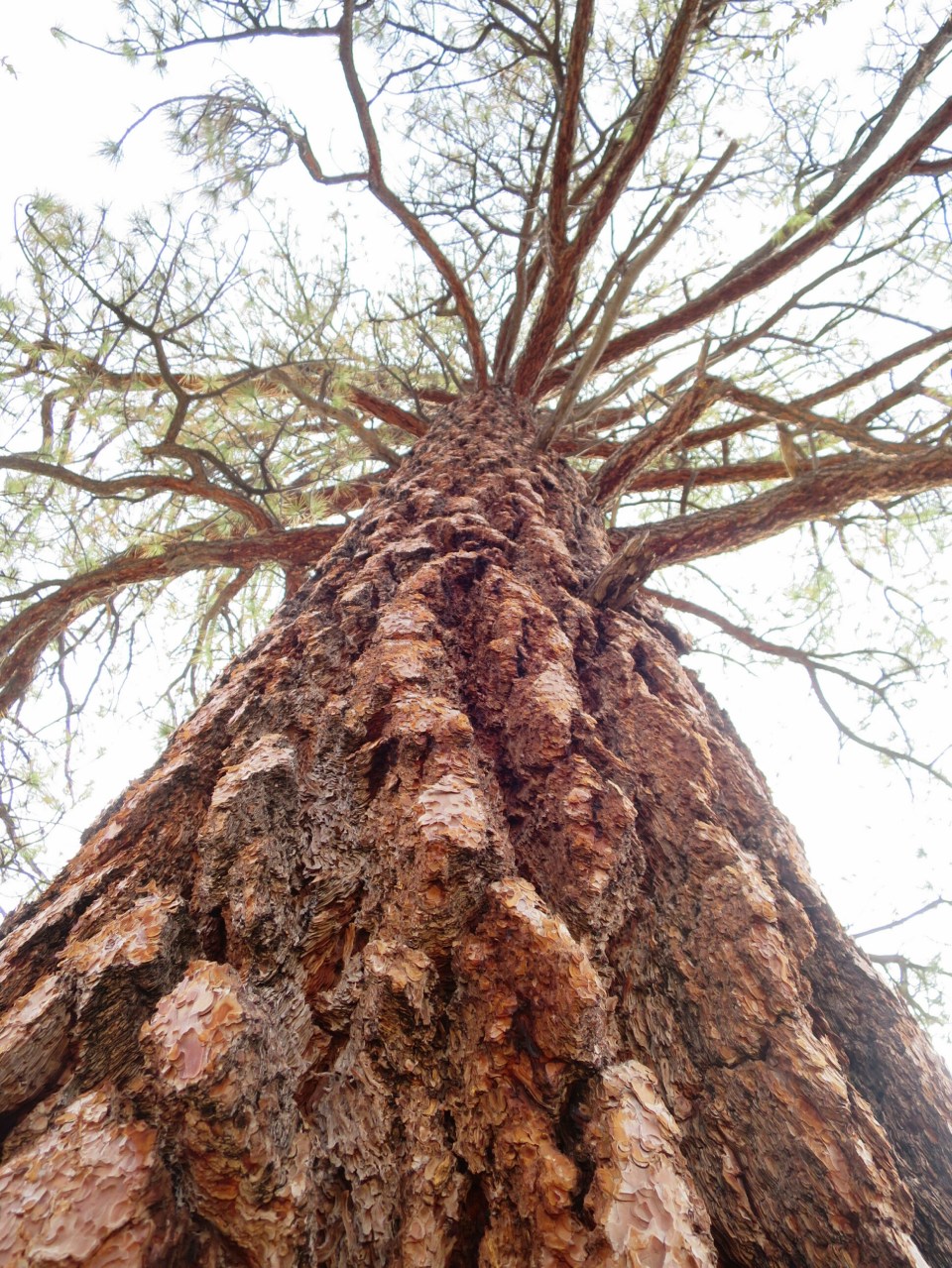 2016-04-27 06.48.59.jpg image