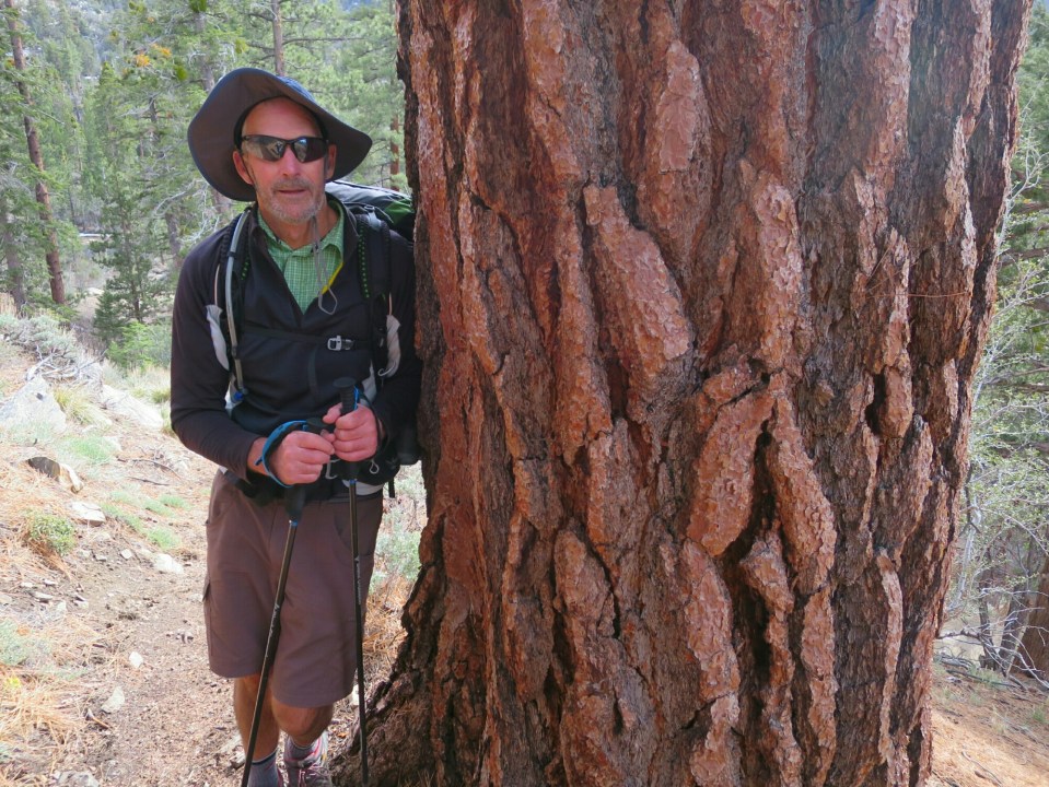 2016-04-27 06.49.21.jpg image