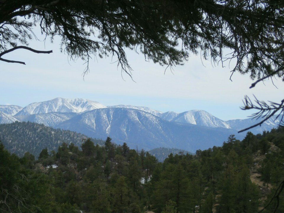 2016-04-27 06.50.53.jpg image