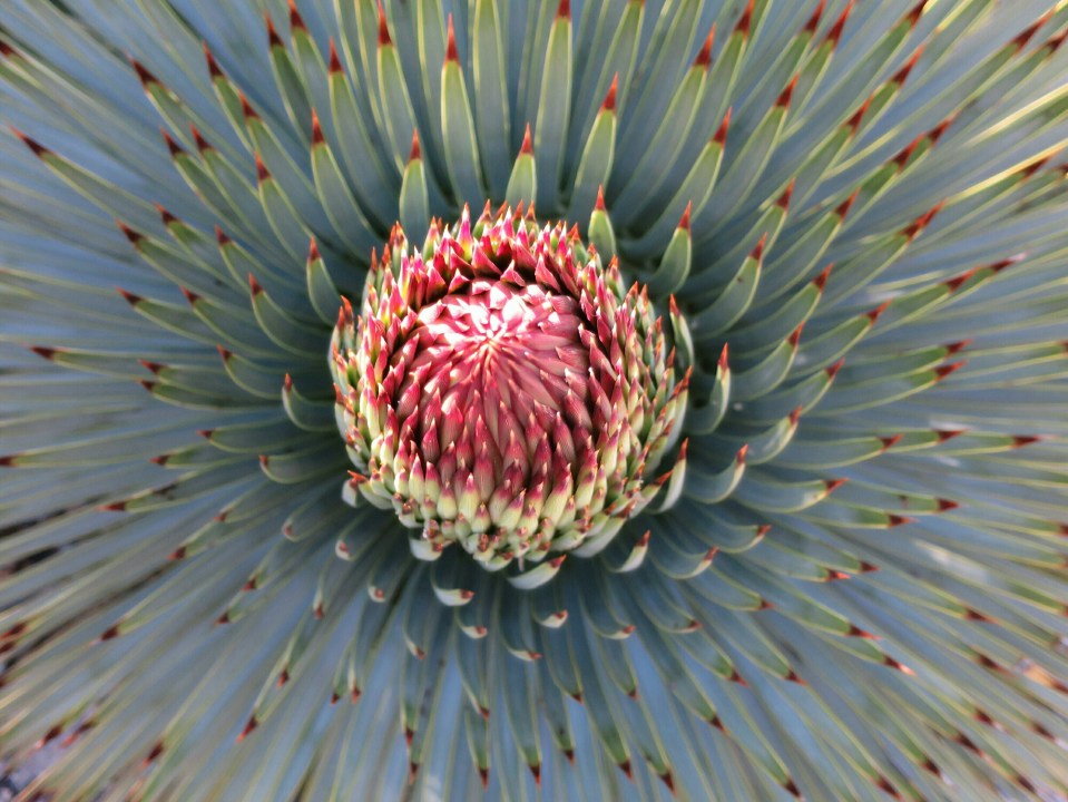 2016-05-04 19.09.19.jpg image