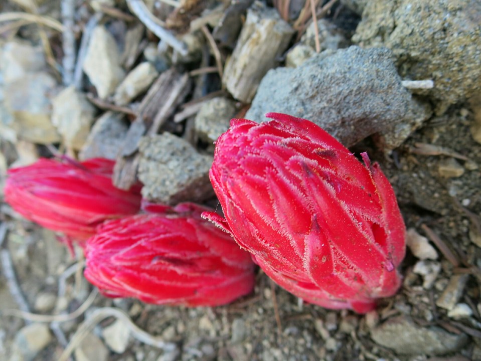 2016-05-04 19.16.24.jpg image