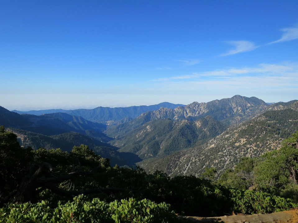 2016-05-04 19.17.03.jpg image