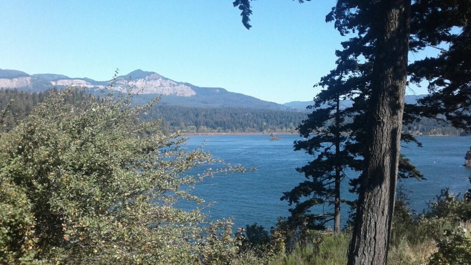 20160817_093342_resized