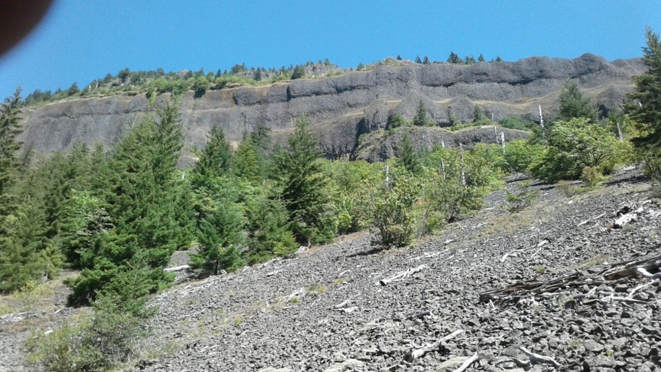 20160817_142903_resized