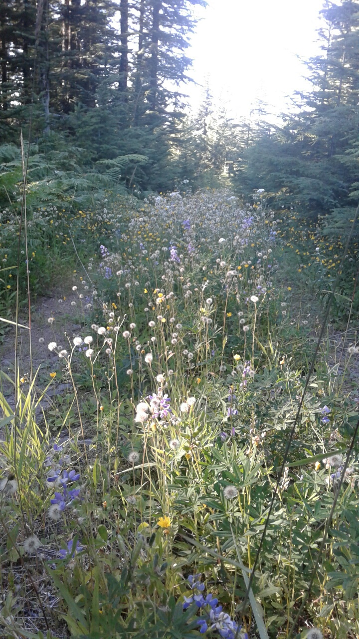 20160817_174636_resized