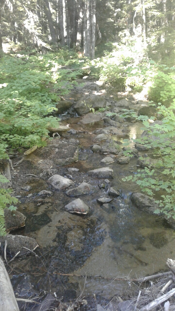 20160821_154012_resized