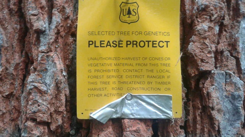 20160821_172046_resized