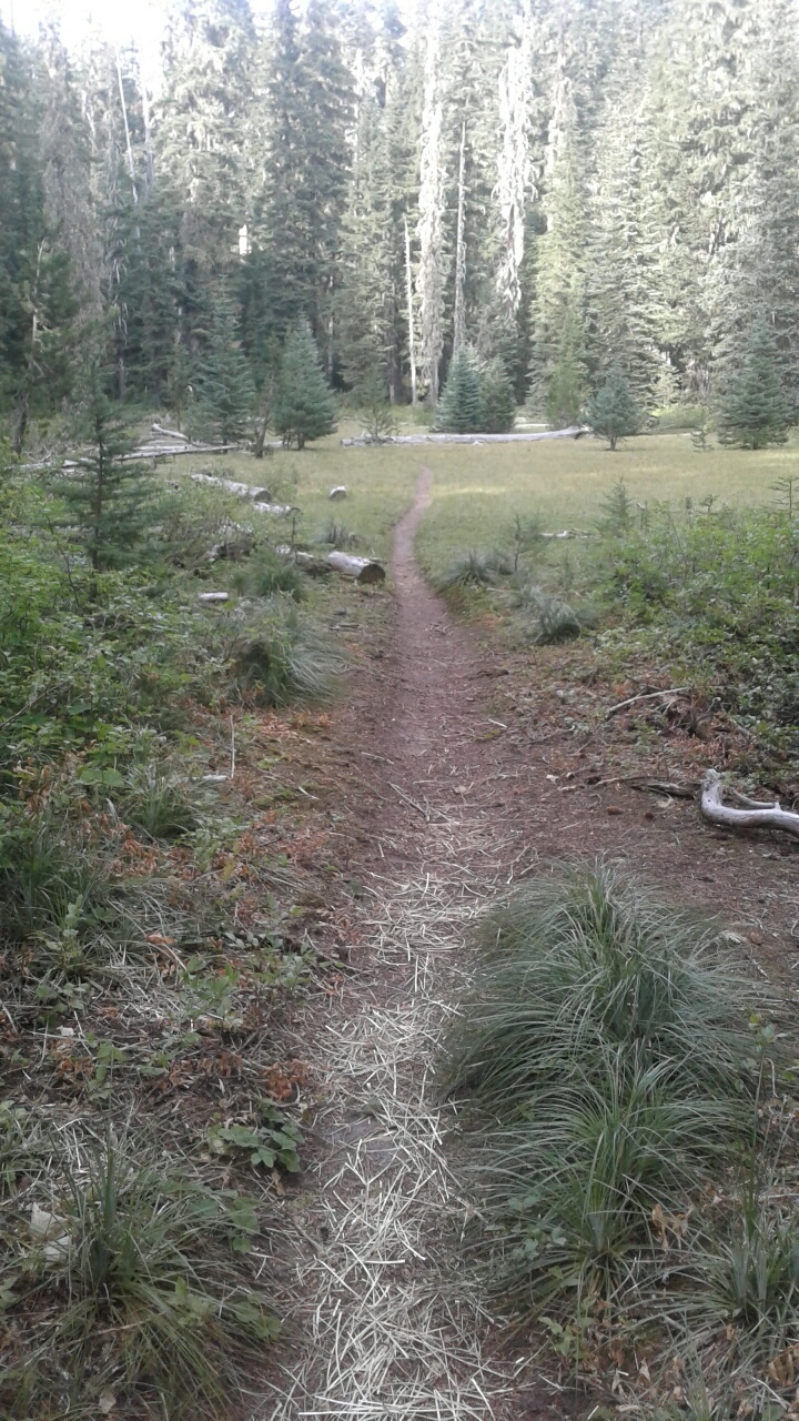 20160821_174514_resized