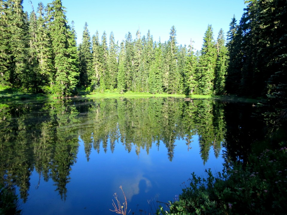 2017-07-27 19.05.24.jpg