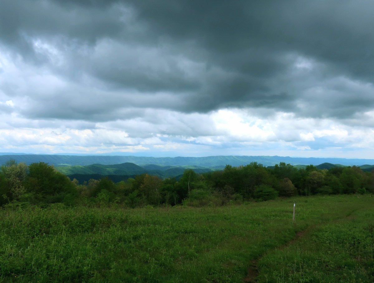 CHESTNUT RIDGE | Adventures of Hammer & Corky